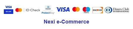 nexi payment processor